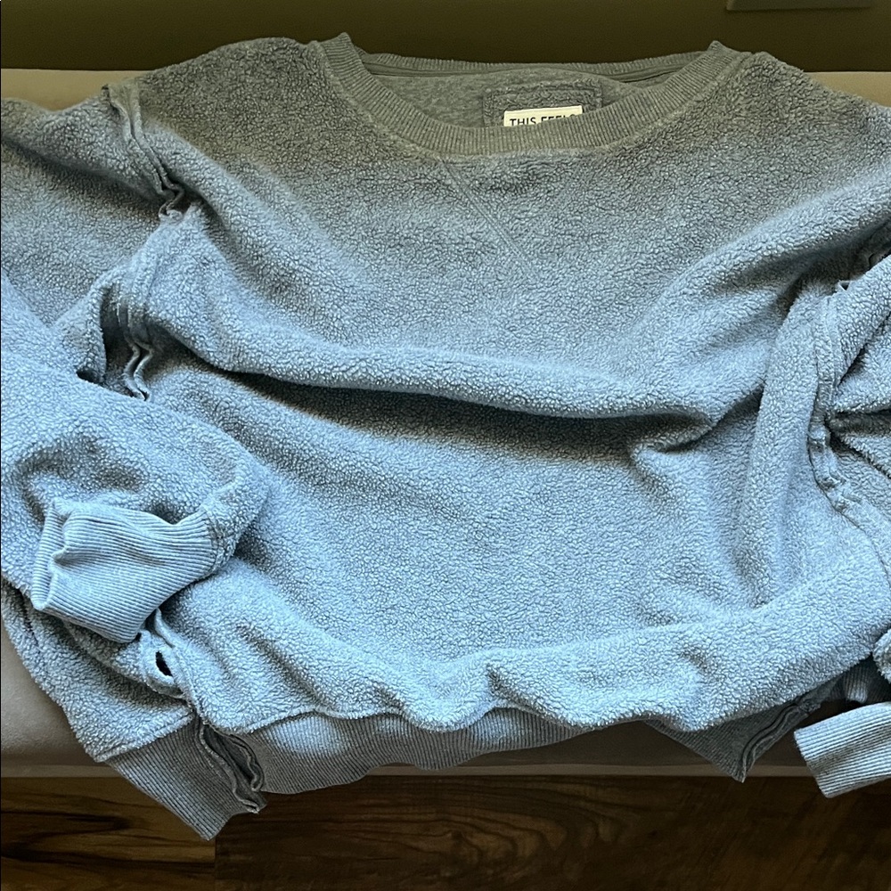 American Eagle Outfitters Light Gray Crew Neck Sweatershirt
